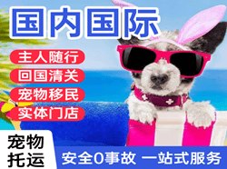 昆明长水航空托运国际宠物托运 【国